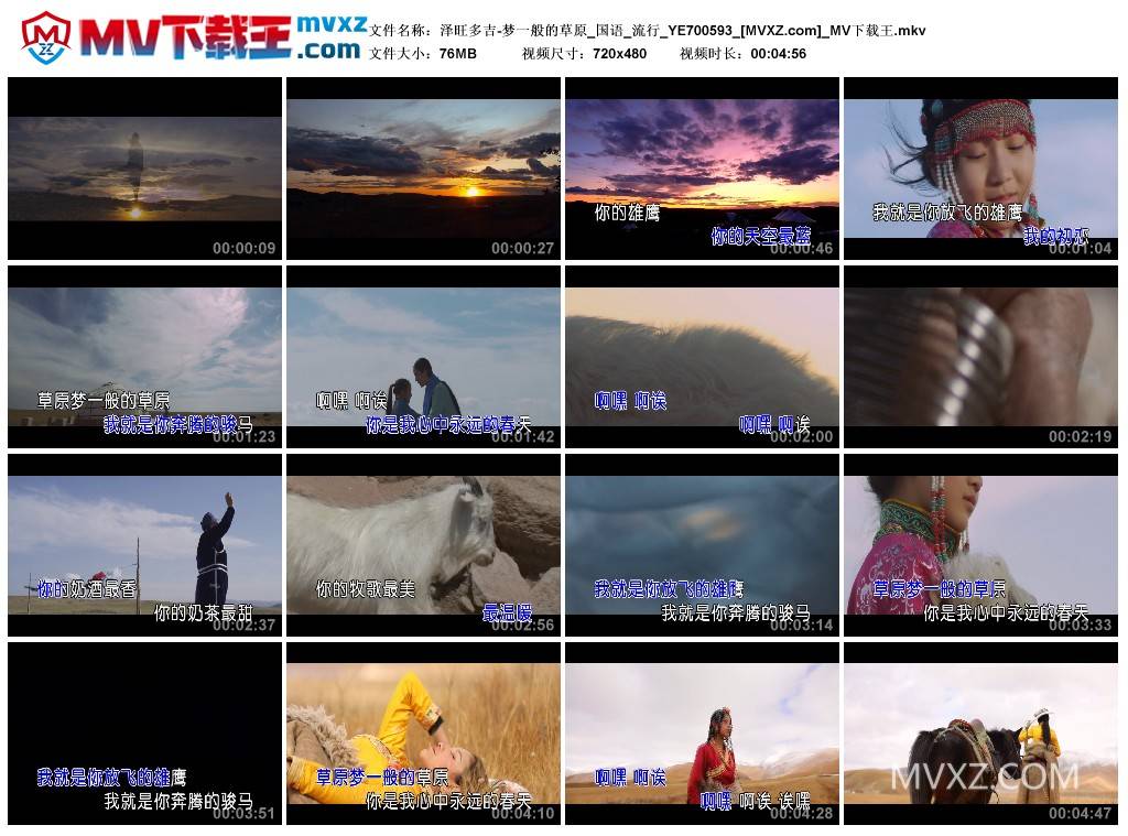 泽旺多吉-梦一般的草原_国语_流行_YE700593